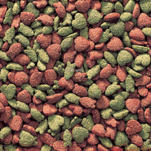 Load image into Gallery viewer, Marukan Basic Food for Dwarf Hamsters