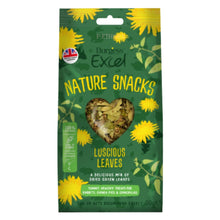 Load image into Gallery viewer, Burgess Excel - Luscious Leaves