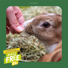 Load image into Gallery viewer, Burgess Excel - Luscious Leaves