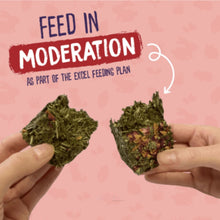 Load image into Gallery viewer, Burgess Excel - Forage & Feast Hay Bar with Rose