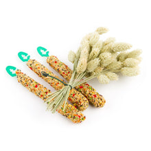 Load image into Gallery viewer, Puik Snacks Snack and Play Nature Seed Stick Mix