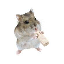 Load image into Gallery viewer, Marukan Freeze Dried Tofu Stick - Plain