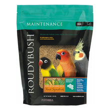 Load image into Gallery viewer, Roudybush Daily Maintenance - Mini