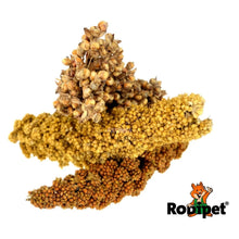Load image into Gallery viewer, Rodipet Millet Trio