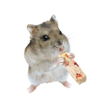 Load image into Gallery viewer, Marukan Freeze Dried Tofu Stick - Fruit