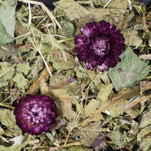 Load image into Gallery viewer, JR Farm Grainless Plus Cumin & Dandelion