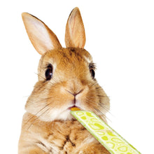 Load image into Gallery viewer, Marukan Papaya Flavoured Puree