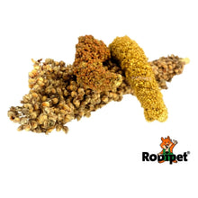 Load image into Gallery viewer, Rodipet Millet Trio