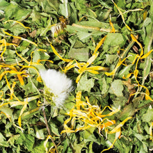 Load image into Gallery viewer, JR Farm Dandelion