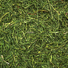 Load image into Gallery viewer, JR Farm Parsley Stalks