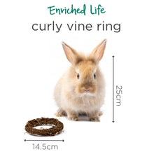 Load image into Gallery viewer, Oxbow Enriched Life Curly Vine Ring