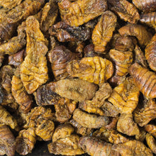 Load image into Gallery viewer, JR Farm Silkworms