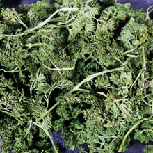 Load image into Gallery viewer, JR Farm Parsley Salad