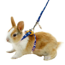 Load image into Gallery viewer, Marukan Harness for Rabbits - Navy Blue