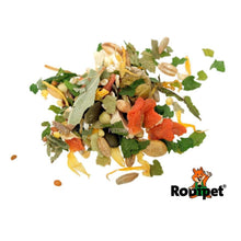 Load image into Gallery viewer, Rodipet Organic Teddy Hamster Food - JUNIOR
