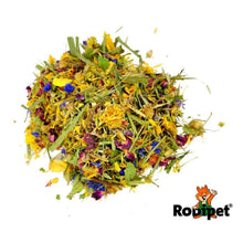 Load image into Gallery viewer, Rodipet Nature’s Treasures - Flowering Meadow
