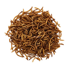 Load image into Gallery viewer, Marukan Freeze Dried Mealworm
