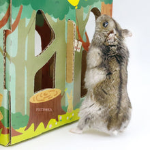 Load image into Gallery viewer, Animan Cardboard Playland (Forest) - 15cm x 15cm x 15cm
