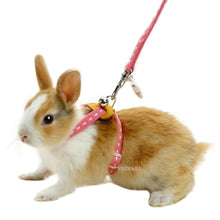 Load image into Gallery viewer, Marukan Harness for Rabbits - Pink
