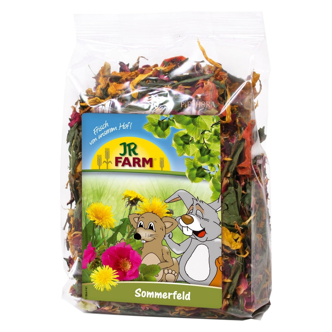 JR Farm Summer Field