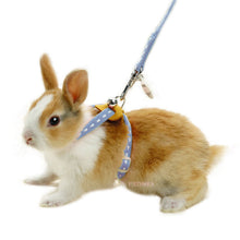 Load image into Gallery viewer, Marukan Harness for Rabbits - Blue
