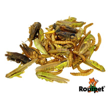 Load image into Gallery viewer, Rodipet Insect Mix Protein Snack
