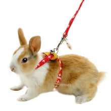 Load image into Gallery viewer, Marukan Harness for Rabbits - Red
