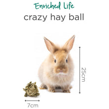 Load image into Gallery viewer, Oxbow Enriched Life Crazy Hay Ball
